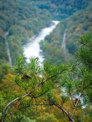 New-River-Gorge-Bridge-2